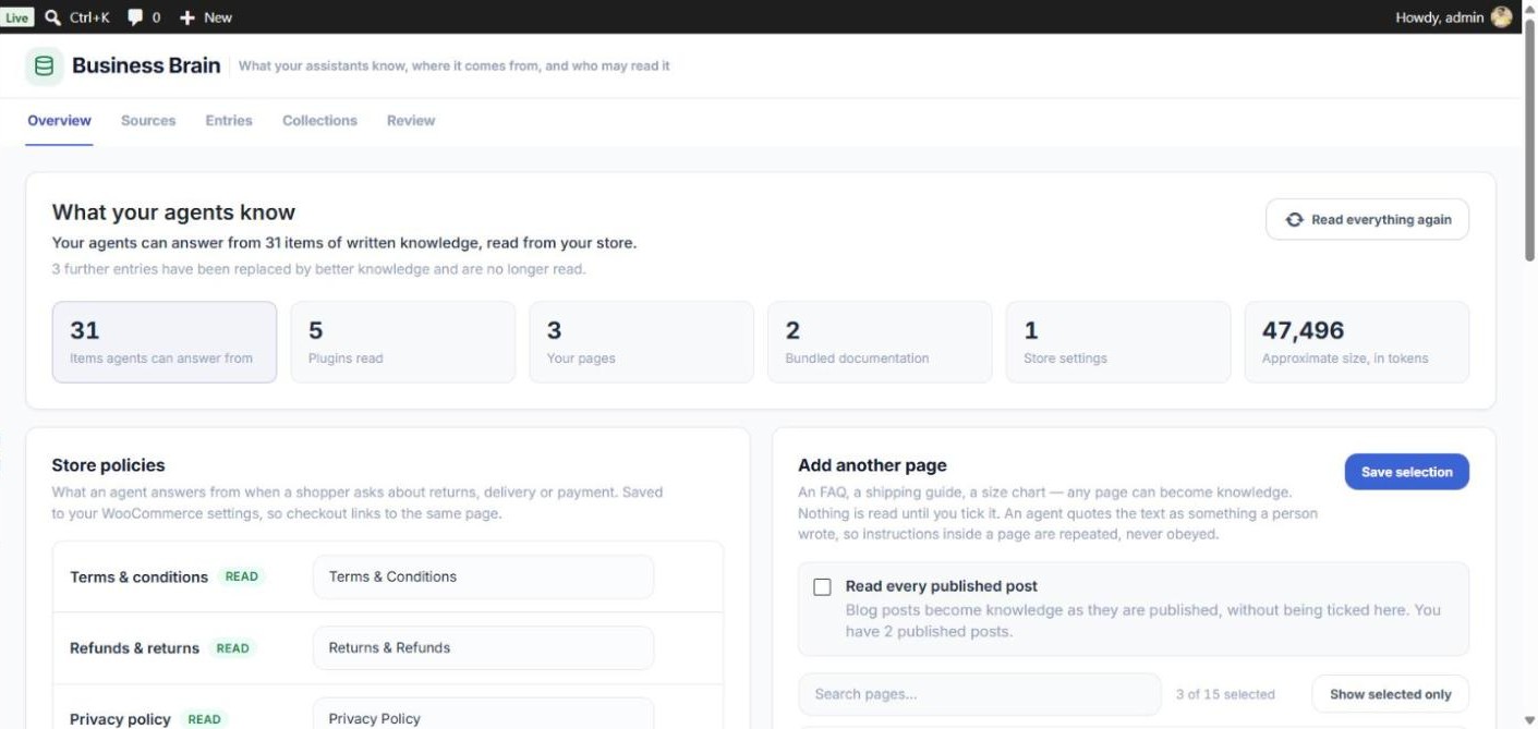 Business Brain Overview with the knowledge tiles, Store policies and Add another page
